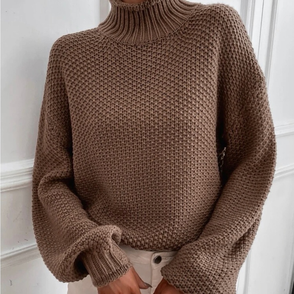 Knit Turtleneck Sweater